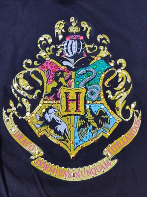 Camiseta Harry Potter Escudo Escolar Hogwarts Estrás - Grande Infantil Foto 1 de 4