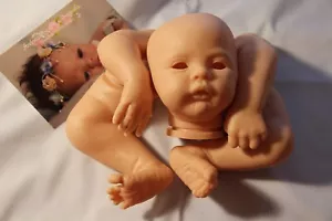 17" Meadow Reborn Baby Doll Kit by Andrea Arcello~ SOLD OUT edition ~#1132/1500 - Picture 1 of 10