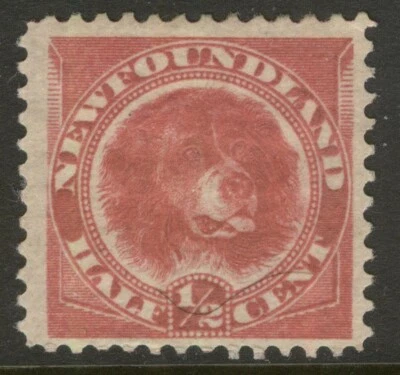 NEWFOUNDLAND 56a 1887 1/2c DEEP ROSE RED WORLD'S FIRST DOG STAMP MPH (#1) CV$45 - Image 1 of 2