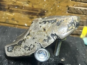 Fragmento de hueso de reptil. Raptor que tiene más de 45 millones de años - Utah - Imagen 1 de 9