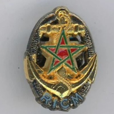 RICM pin's Hauteur: 2,3 cm - Photo 1/2