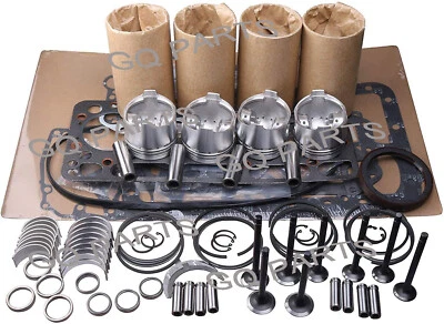 BF4M1011 BF4M1011F for Deutz Engine Rebuild Kit Bobcat 863 864 Skid Steer Loader - Image 1 of 2