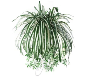 1Pc Artificial Chlorophytum Comosum Fake Greenery Home Hotel Decor Spider Plant - Picture 1 of 5