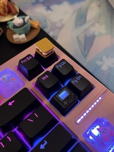 S’mores Artisan PBT Keycan for OEM Mechanical Keyboard “+” Switches - Picture 1 of 5