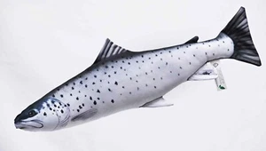 Coussin A en Forme De Poisson Smolt Océan Truite Réaliste Idée Cadeau Pêche Bob - Photo 1/2