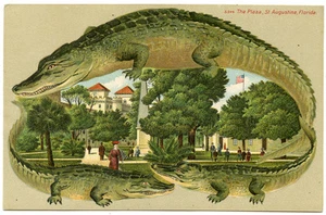 Alligator Border 544 St Augustine The Plaza Florida - Picture 1 of 2