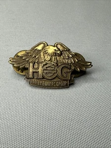 HARLEY OWNERS GROUP HOG 2013 HOG Motorcycle Biker Vest Jacket Hat Pin EAGLE - Picture 1 of 9