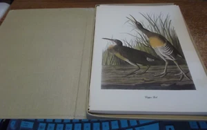 Audubon Fifty Selections with Commentaries by Roger Tory Peterson - Complete - Foto 1 di 15