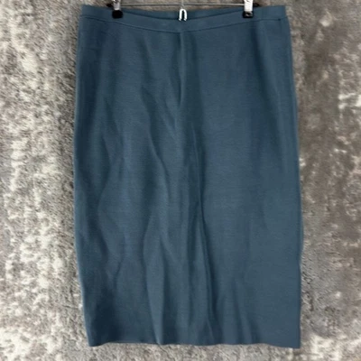 Falda Eileen Fisher Talla L Seda Algodón Orgánico Midi Línea A Azul Pull On Informal Foto 1 de 4