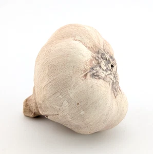 Mary Kirk Kelly Knoblauch realistisch handbemalt Kunst Obst Gemüse SIGNIERT - Bild 1 von 11
