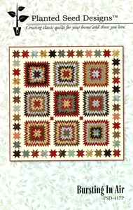 Bursting In Air Quilt Pattern PSD-417P by Planted Seed Designs - Picture 1 of 2