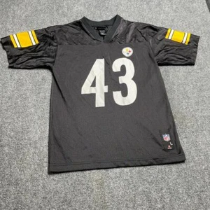 Team Apparel Men's Black Jersey Short Sleeve Polamalu NFL Size Large - Picture 1 of 16