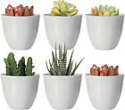 10 Pack 8Cm Mini Plastic Planters Indoor Flower Plant Pots, Grey Gardening Pot W