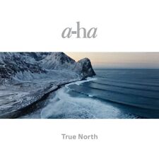 a-Ha True North 180g 2LP Recycled Black Vinyl 45RPM Gatefold 2022 sony Music