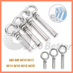 M6 - M20 Heavy Duty Closed Hook Eye Bolt Shield Wall Anchor Expansion Bolts - Picture 1 of 52