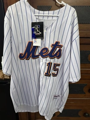 Majestic Baseball Jersey Carlos Beltran NY Mets Pinstripe Jersey With Tags - Image 1 of 2