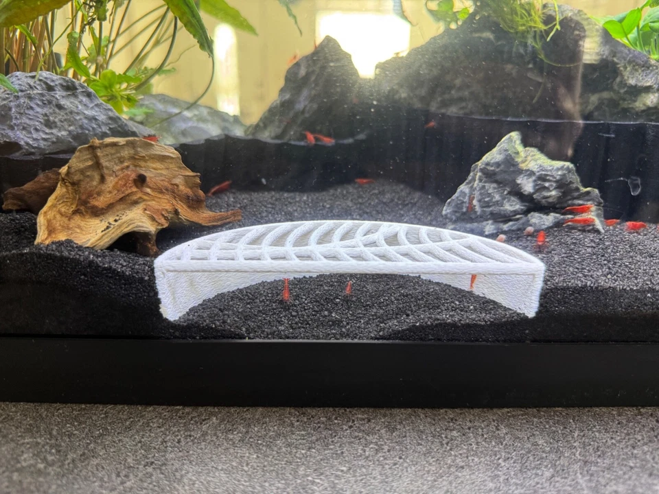 Shrimp tunnel Shrimp Cave Shrimp Hide FREE Shipping 2 Colors  2 Shapes Available - Image 1 of 4