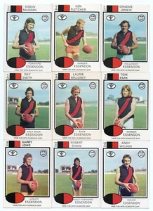 1975 Scanlens FULL Team Set ESSENDON 12 Cards - Unmarked CHECKLIST - Picture 1 of 4