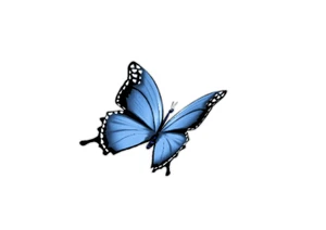 Blue Butterfly (T34L) Side View Butterfly Vinyl Decal Sticker - Picture 1 of 2