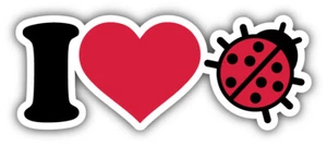 I Love Ladybug Car Bumper Sticker Decal - Picture 1 of 1