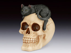 Skull with Cat on Head Figurine Statue Skeleton Halloween
