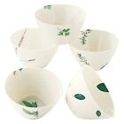 LA AMYS Toujour Free Bowl Dish 5 Set AM20-TS18 Made In Japan w/ Tracking NEW