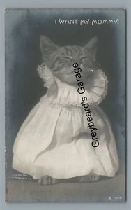 RPPC Rotograph GEKLEIDETE KATZE Ich will meine Mama Vintage Echtfoto Postkarte - Bild 1 von 2