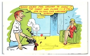 Comic Some Damn Fool Wanted To Know If Coast Was Clear Humor Postcard - Picture 1 of 2