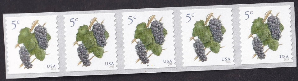 Scott #5038 Grapes Plate # Coil (PNC5) of 5 Stamps - MNH - Image 1 of 1