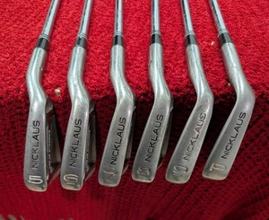 "The Bear" Linear Dynamics Iron Set - Picture 1 of 4