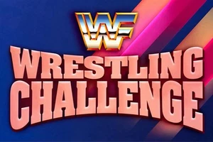 WWE GIANT 2’x3’ VINYL FLAG - WWF WRESTLING CHALLENGE - Picture 1 of 1