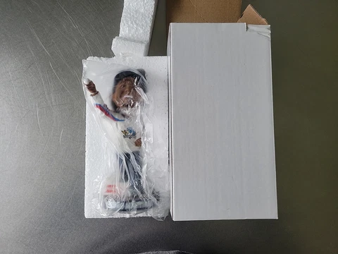 NIB Pedro Martinez Springfield Thunderbirds bobblehead Cover