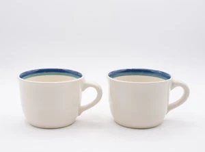 Set of 2 Pfaltzgraff Northwinds Coffee Mugs - Picture 1 of 8