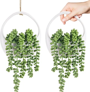 2-Pack Artificial Hanging Succulent Plants with Strings for Wall Decor - Picture 1 of 12