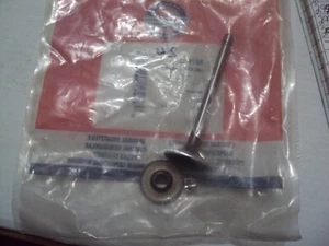 Válvula de escape Briggs & Stratton original OEM/NOS, 807681 - Imagen 1 de 2