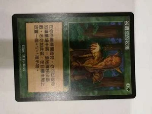 Forgotten Harvest | EX | Prophecy | GER | Magic MTG Chinese - Picture 1 of 1