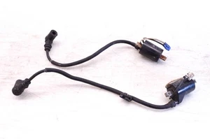12 Polaris Assault RMK 800 Ignition Coils 155" - Picture 1 of 3