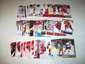 Lotto 45 carte Carolina Hurricanes dal 1990 al 2010 Brind'Amour Staal Ward - Foto 1 di 4