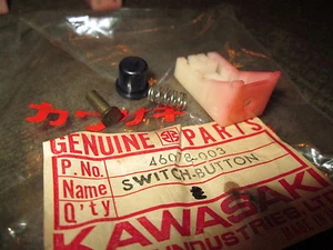 Kawasaki LH Button Switch Assy 74-75 F9 G4TR S1 C2SS C2TR 67 & 71 F2 46078-003 - Imagen 1 de 1