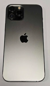 Used Grade B I iPhone 12 Pro Max I 256GB I Graphite I Screen Burn I Cam Lens - Picture 1 of 7