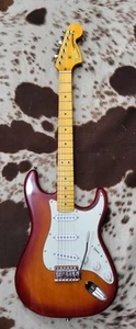 Fender American Performer Stratocaster Guitar Build Sienna Burst - Picture 1 of 15