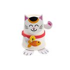 Lunar New Year Lucky Cat Paper Cup Craft Kit - Makes 12