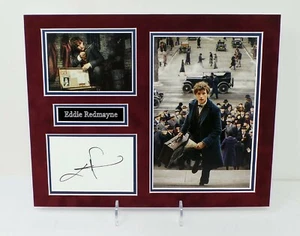 Eddie REDMAYNE Fantastic Beasts Signed Mounted 14x11 Photo Display + Dealer COA - Picture 1 of 1