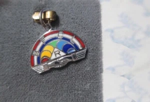 Estate años 50-60 NOC Esterenam DISCO ENCANTO: bonito emblema RAINBOW GIRLS - Imagen 1 de 6