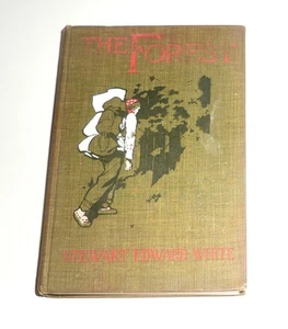Antique 1903 The Forest By Stewart Edward White Clothcover First Edition - Picture 1 of 5