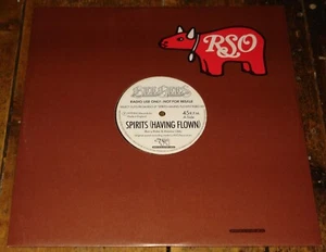 BBE GEES ~ SPIRITS HAVING FLOWN ~ UK 2-TRACK RADIO DJ WHITE LABEL PROMO 12" - Picture 1 of 4