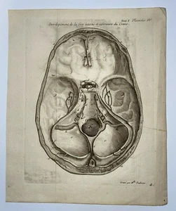 ANATOMIE-LE CRANE 1761 GRAVURE ORIGINALE par DE FONBONNE & DU VERNEY 18E SIECLE - Picture 1 of 5