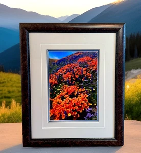 SIGNED Thomas Mangelsen Limited Edition 58/2500 Aprils Gift Tapis Magique Framed - Picture 1 of 22