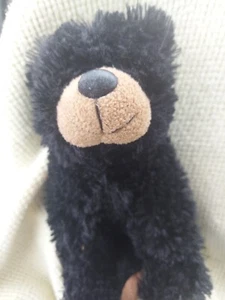 Black Bear Plush/Stuffed. Black Eyes. - Picture 1 of 11