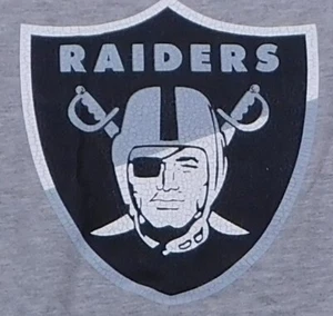 Las Vegas Raiders Men's Gray & Black T-Shirt Official NFL Apparel LARGE - Picture 1 of 4